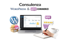 Consulenza Wordpress e Woocommerce